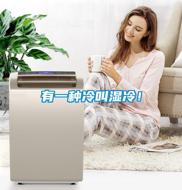 有一種冷叫濕冷！