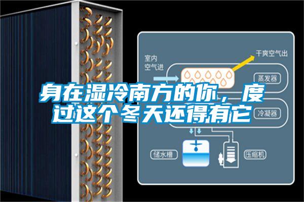 身在濕冷南方的你，度過這個冬天還得有它