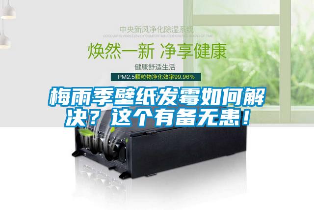 梅雨季壁紙發霉如何解決？這個有備無患！