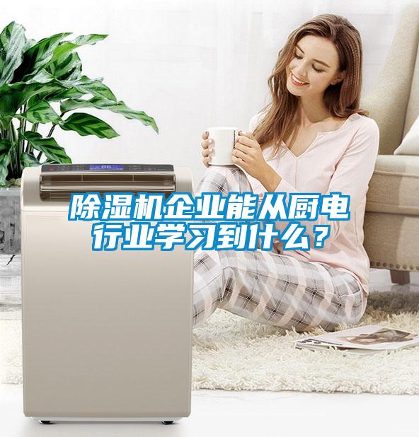 除濕機企業能從廚電行業學習到什么？