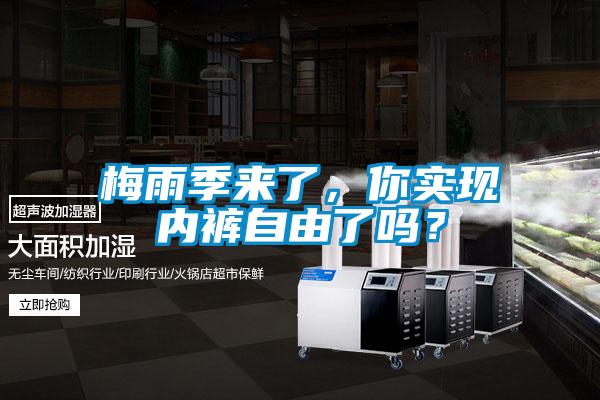 梅雨季來了，你實現內褲自由了嗎？