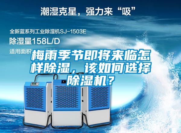 梅雨季節即將來臨怎樣除濕，該如何選擇除濕機？