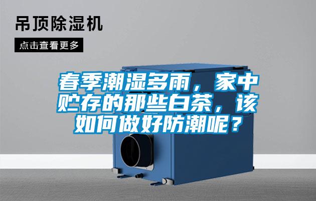 春季潮濕多雨，家中貯存的那些白茶，該如何做好防潮呢？