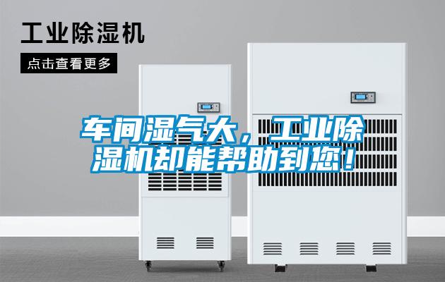 車間濕氣大，工業除濕機卻能幫助到您！