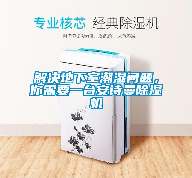 解決地下室潮濕問題，你需要一臺安詩曼除濕機