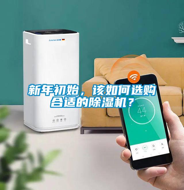 新年初始，該如何選購合適的除濕機？