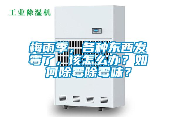 梅雨季，各種東西發霉了，該怎么辦？如何除霉除霉味？