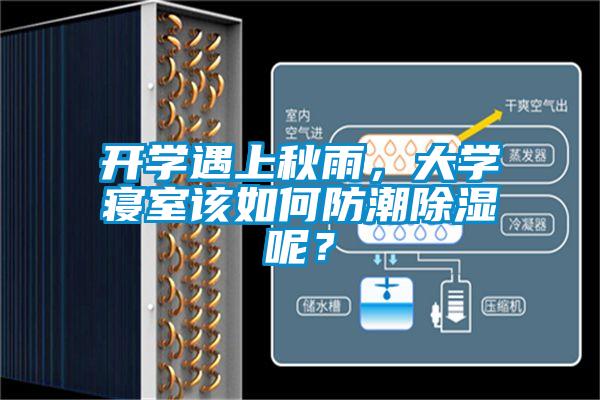 開學遇上秋雨，大學寢室該如何防潮除濕呢？