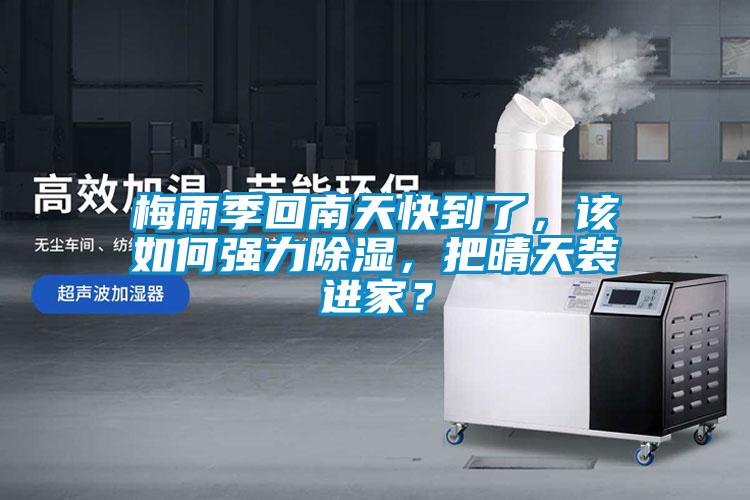 梅雨季回南天快到了，該如何強力除濕，把晴天裝進家？