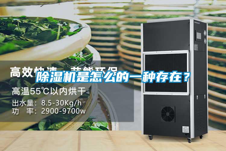 除濕機是怎么的一種存在？