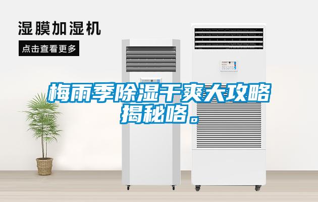 梅雨季除濕干爽大攻略揭秘咯。