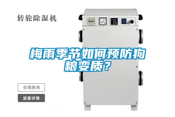 梅雨季節如何預防狗糧變質？
