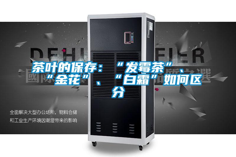 茶葉的保存：“發霉茶”、“金花”、“白霜”如何區分