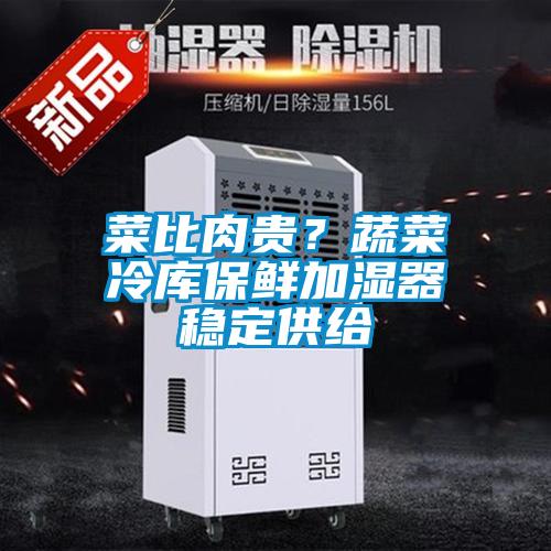 菜比肉貴？蔬菜冷庫保鮮加濕器穩定供給