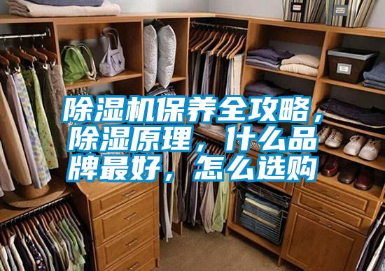 除濕機保養全攻略，除濕原理，什么品牌最好，怎么選購