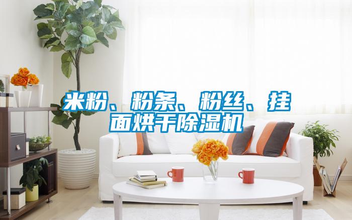 米粉、粉條、粉絲、掛面烘干除濕機