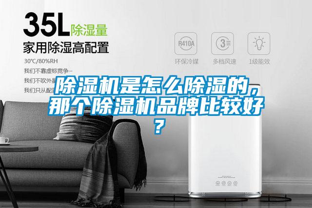 除濕機是怎么除濕的，那個除濕機品牌比較好？