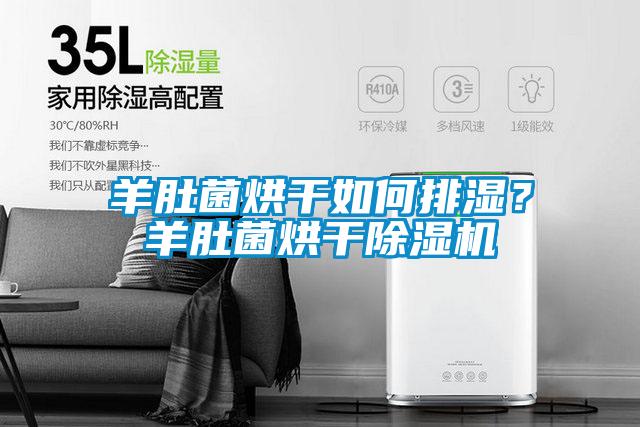 羊肚菌烘干如何排濕？羊肚菌烘干除濕機