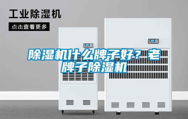 除濕機什么牌子好？老牌子除濕機