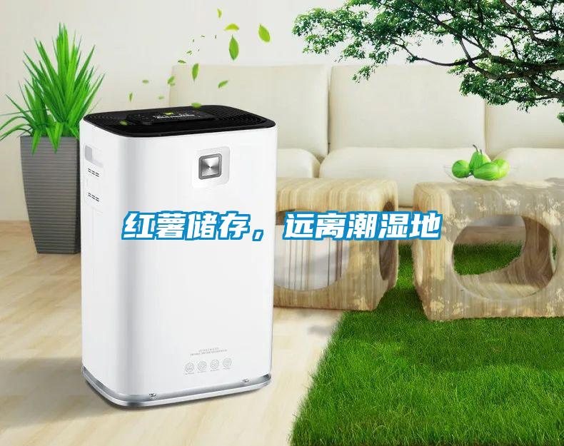 紅薯儲存，遠離潮濕地