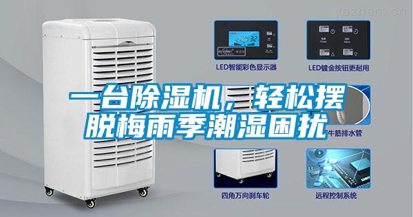 一臺除濕機，輕松擺脫梅雨季潮濕困擾