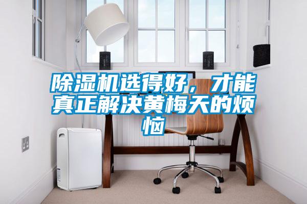 除濕機選得好，才能真正解決黃梅天的煩惱