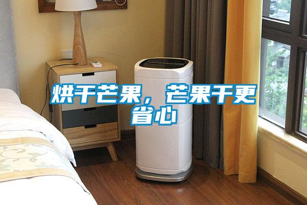 烘干芒果，芒果干更省心