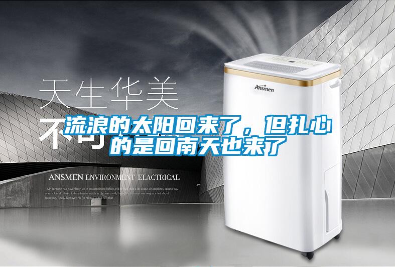 流浪的太陽回來了，但扎心的是回南天也來了