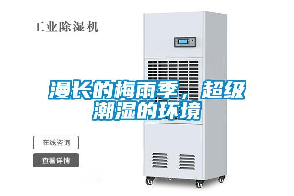 漫長的梅雨季，超級潮濕的環境