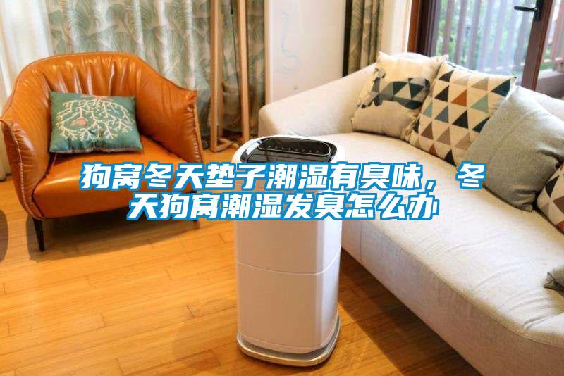 狗窩冬天墊子潮濕有臭味，冬天狗窩潮濕發臭怎么辦