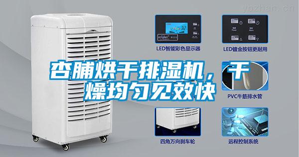 杏脯烘干排濕機，干燥均勻見效快