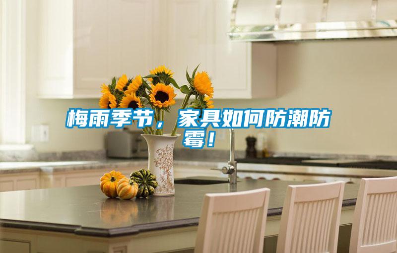 梅雨季節，家具如何防潮防霉！