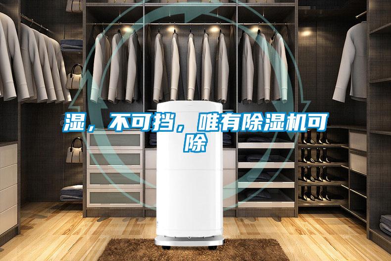 濕，不可擋，唯有除濕機可除