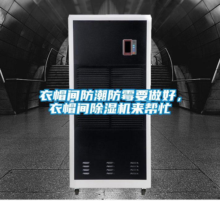 衣帽間防潮防霉要做好，衣帽間除濕機來幫忙