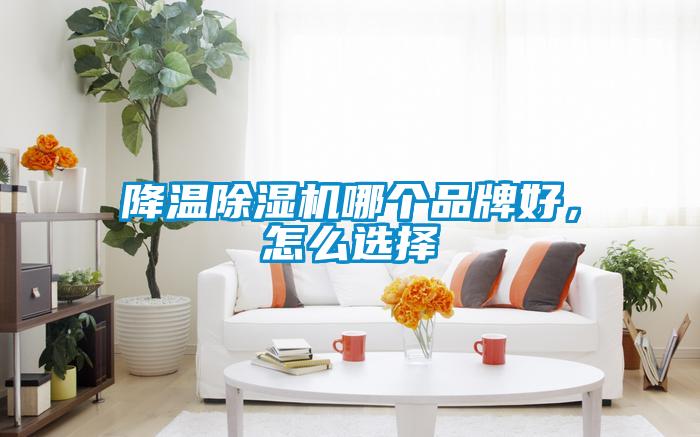 降溫除濕機哪個品牌好，怎么選擇