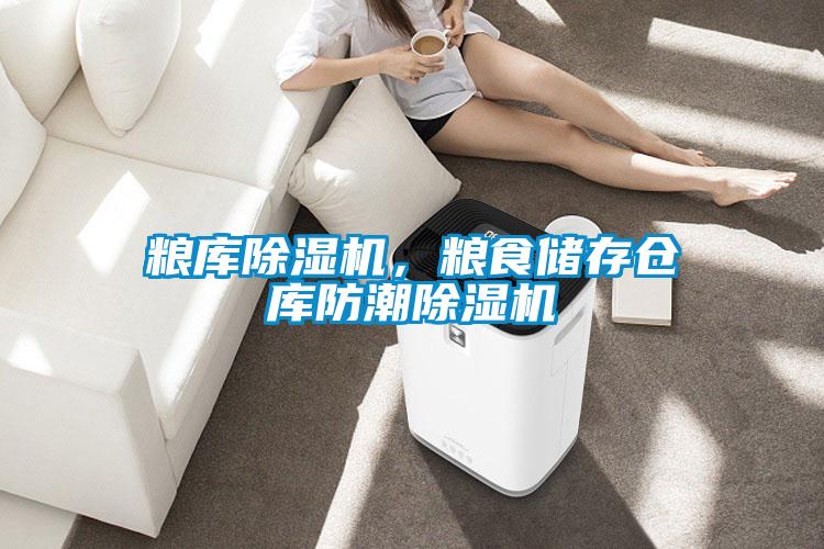糧庫除濕機，糧食儲存倉庫防潮除濕機
