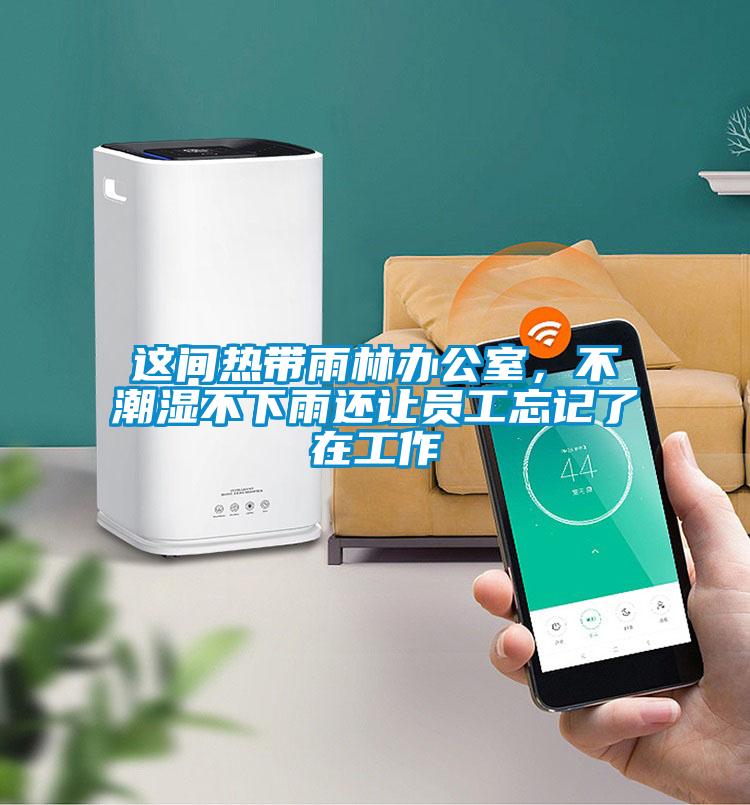 這間熱帶雨林辦公室，不潮濕不下雨還讓員工忘記了在工作