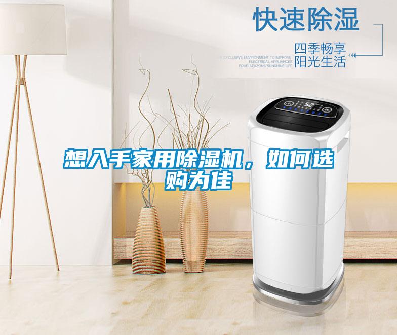 想入手家用除濕機，如何選購為佳