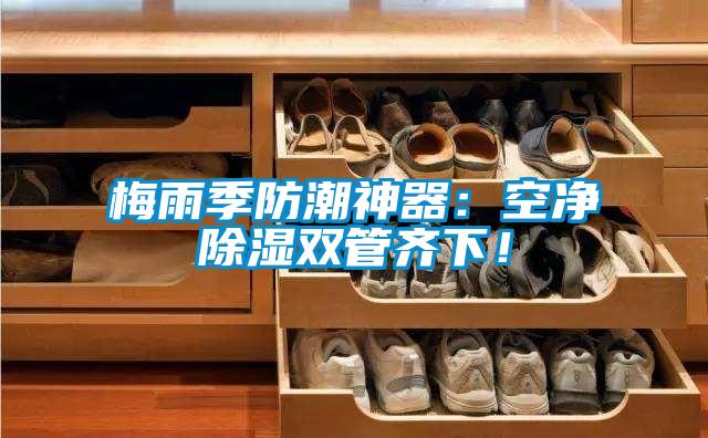 梅雨季防潮神器：空凈除濕雙管齊下！