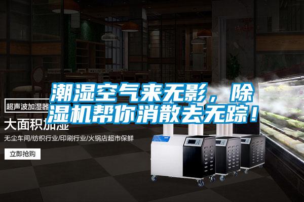 潮濕空氣來無影，除濕機幫你消散去無蹤！