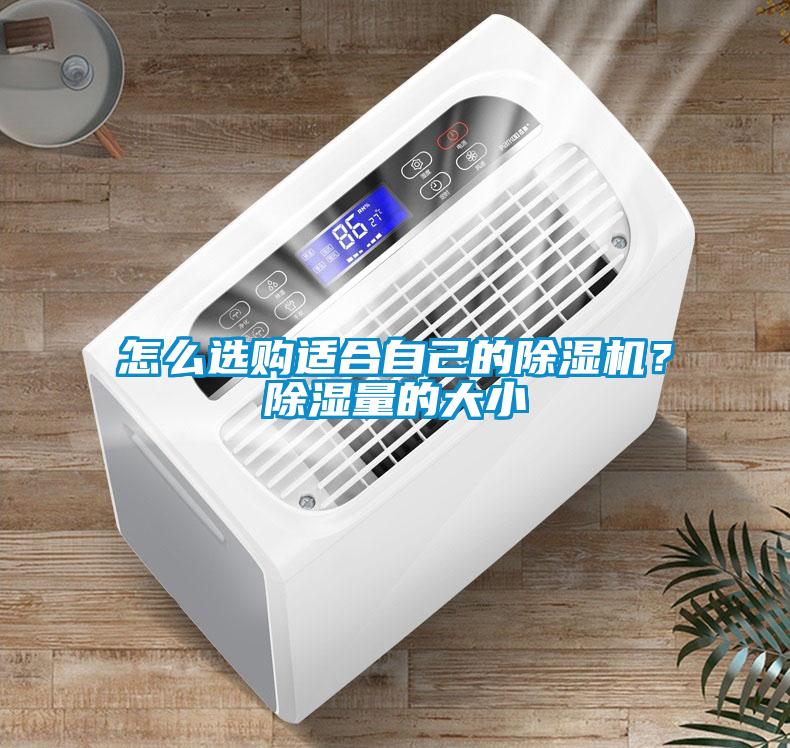 怎么選購適合自己的除濕機？除濕量的大小
