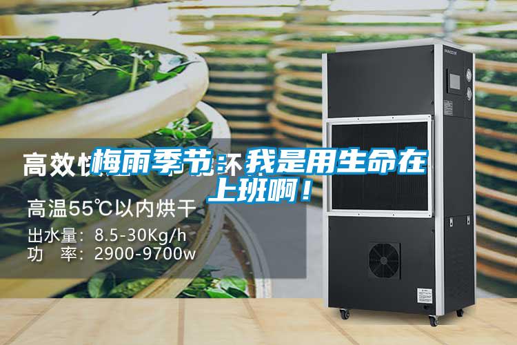 梅雨季節：我是用生命在上班??！