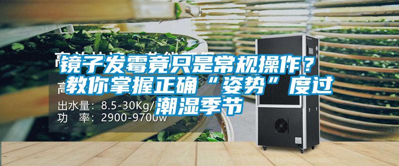 鏡子發霉竟只是常規操作？ 教你掌握正確“姿勢”度過潮濕季節
