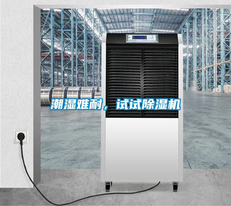 潮濕難耐，試試除濕機