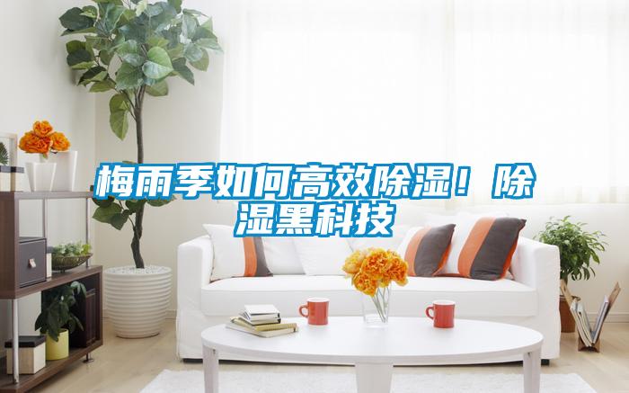 梅雨季如何高效除濕！除濕黑科技