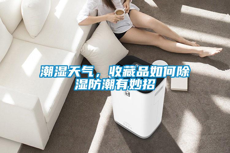 潮濕天氣，收藏品如何除濕防潮有妙招