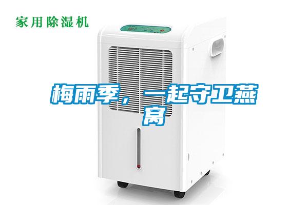 梅雨季，一起守衛燕窩