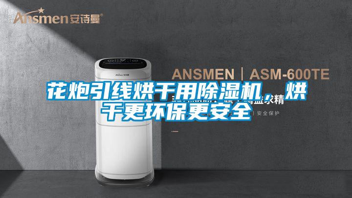 花炮引線烘干用除濕機，烘干更環保更安全