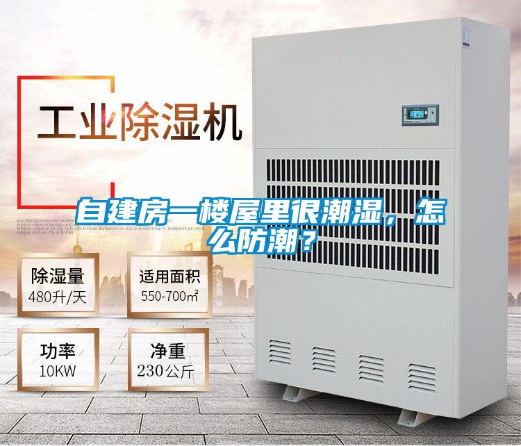 自建房一樓屋里很潮濕，怎么防潮？