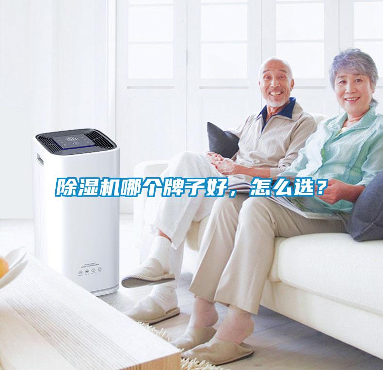 除濕機哪個牌子好，怎么選？